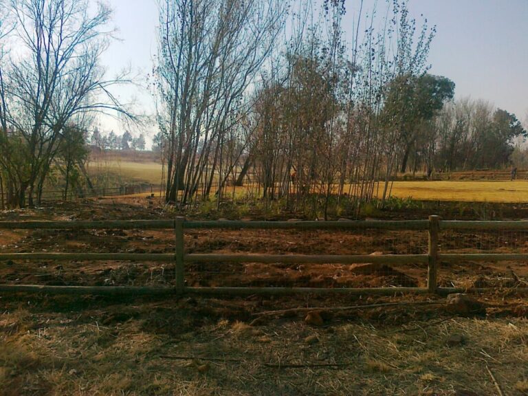 3-Log Paddock Ranch Fencing- CCA