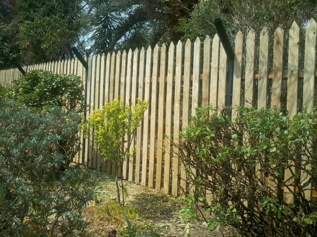 Spaced CCA Picket Fence